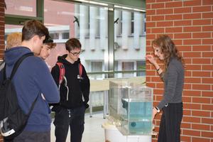 Nyílt Nap_20251104_04